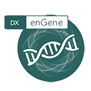 DX enGene | デジタル技術をビジネスの力に